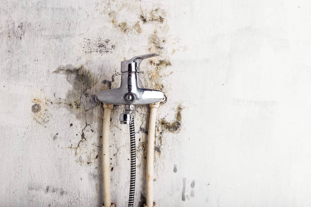 Best HVAC Mold Remediation in Fyffe, AL