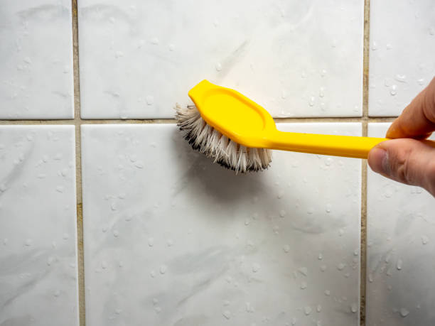 Best DIY Mold Remediation Support Services in Fyffe, AL