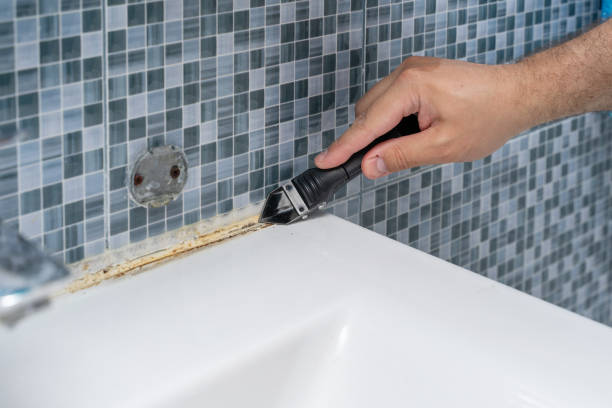 Best Mold Remediation for Specific Building Types in Fyffe, AL